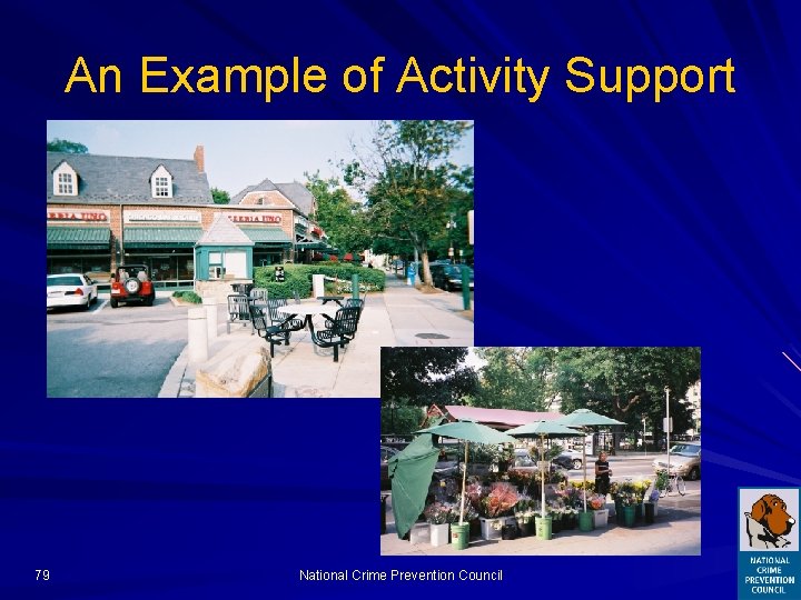 An Example of Activity Support 79 National Crime Prevention Council 