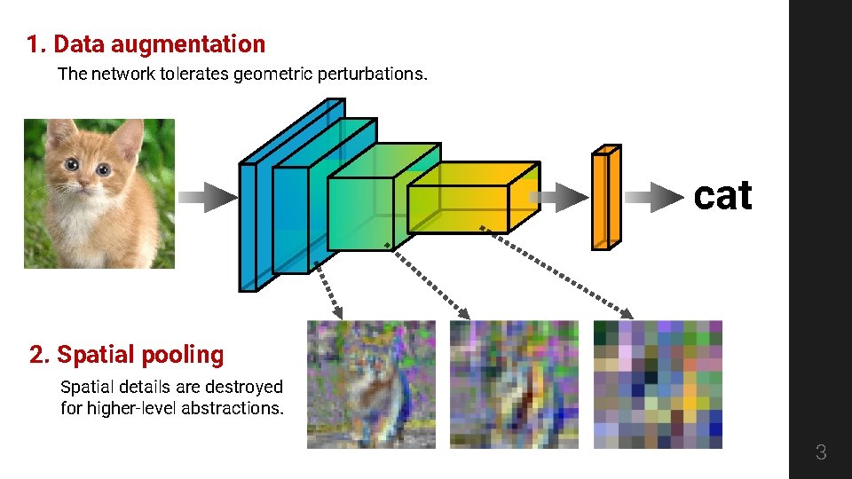 1. Data augmentation The network tolerates geometric perturbations. cat 2. Spatial pooling Spatial details