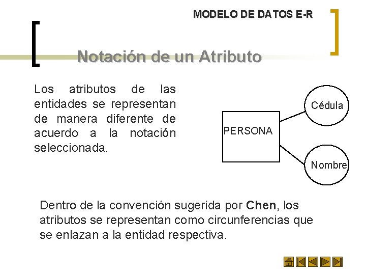 MODELO DE DATOS E-R Notación de un Atributo Los atributos de las entidades se