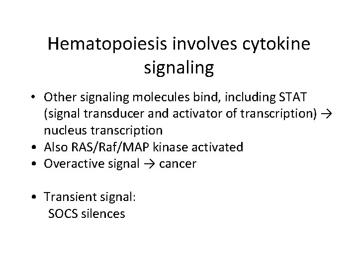 Hematopoiesis involves cytokine signaling • Other signaling molecules bind, including STAT (signal transducer and