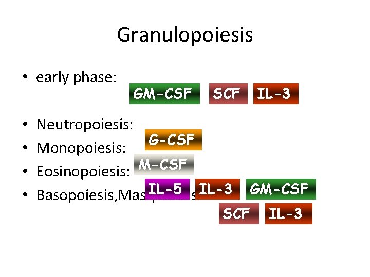 Granulopoiesis • early phase: • • GM-CSF SCF Neutropoiesis: G-CSF Monopoiesis: Eosinopoiesis: M-CSF IL-5