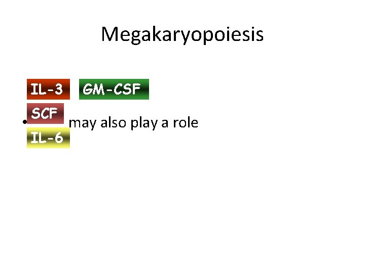 Megakaryopoiesis IL-3 SCF GM-CSF • may also play a role IL-6 