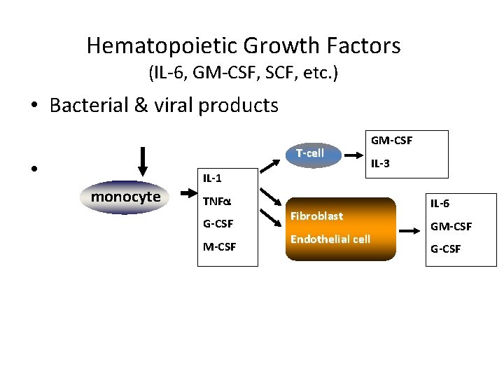 Hematopoietic Growth Factors (IL-6, GM-CSF, SCF, etc. ) • Bacterial & viral products •