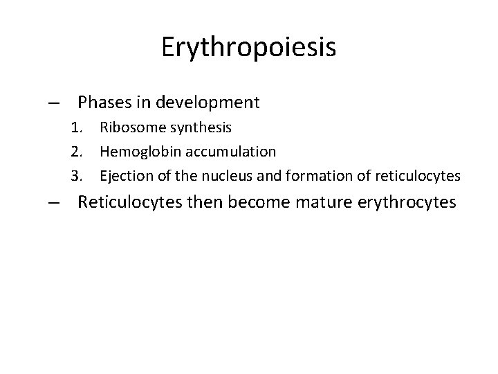 Erythropoiesis – Phases in development 1. Ribosome synthesis 2. Hemoglobin accumulation 3. Ejection of