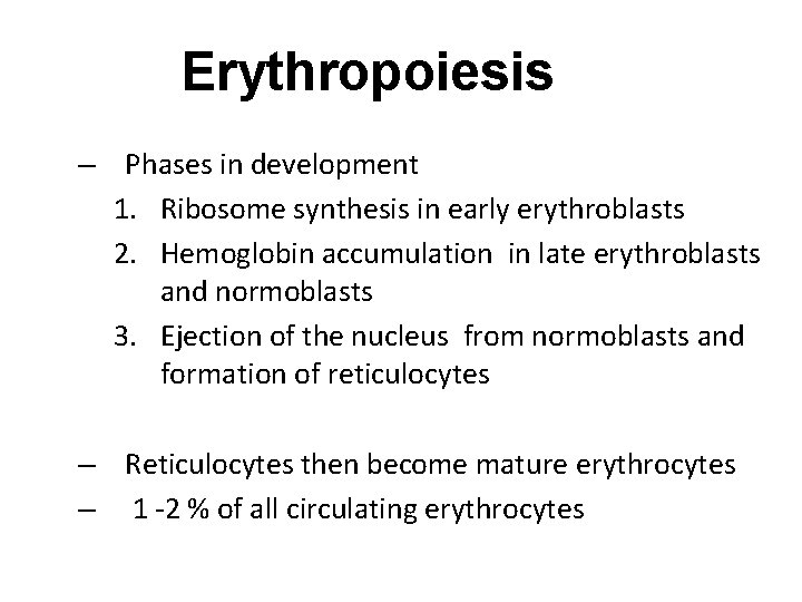 Erythropoiesis – Phases in development 1. Ribosome synthesis in early erythroblasts 2. Hemoglobin accumulation