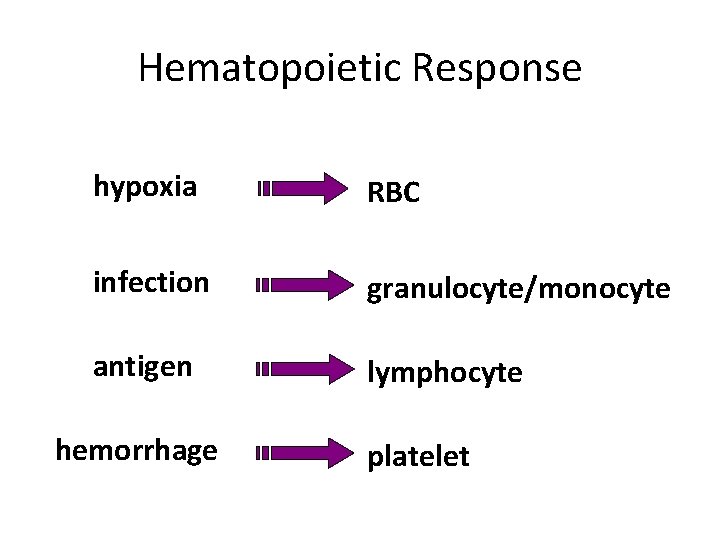 Hematopoietic Response hypoxia RBC infection granulocyte/monocyte antigen lymphocyte hemorrhage platelet 