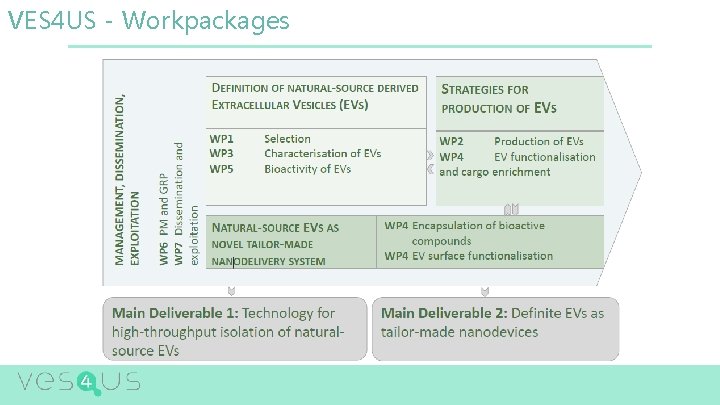 VES 4 US - Workpackages 