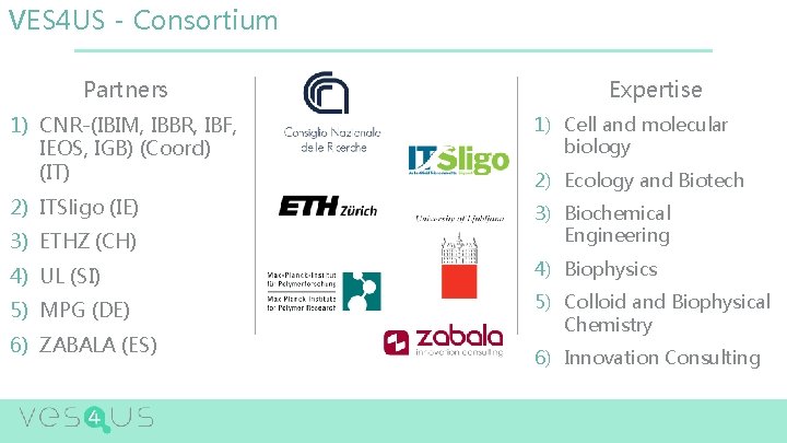 VES 4 US - Consortium Partners Expertise 1) CNR-(IBIM, IBBR, IBF, IEOS, IGB) (Coord)