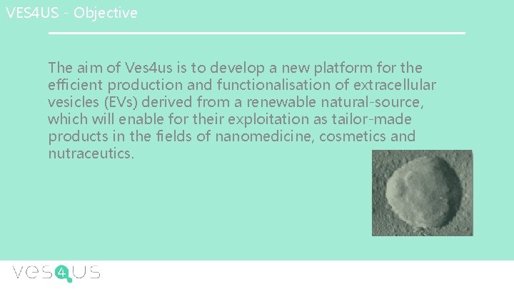 VES 4 US - Objective The aim of Ves 4 us is to develop