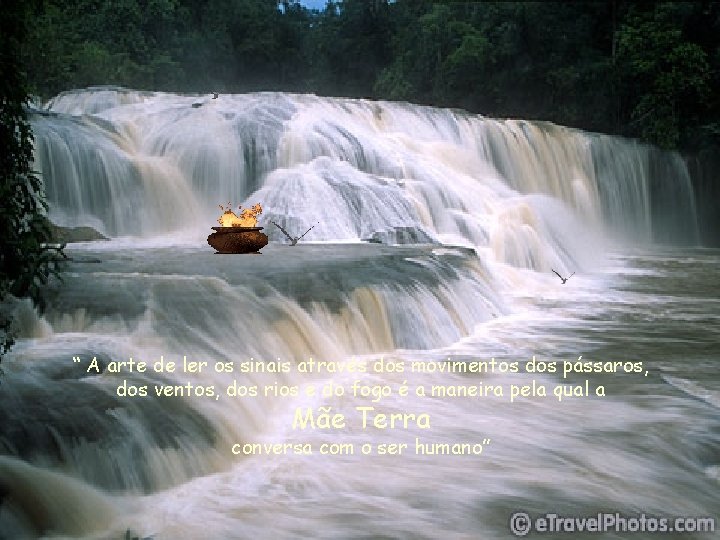 “ A arte de ler os sinais através dos movimentos dos pássaros, dos ventos,
