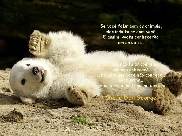 Se você falar com os animais, eles irão falar com você. E assim, vocês