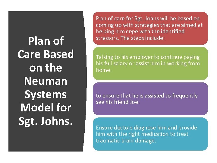 Plan of Care Based on the Neuman Systems Model for Sgt. Johns. Plan of