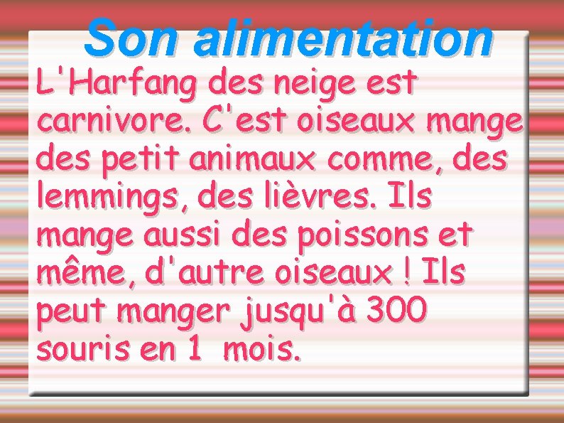 Son alimentation L'Harfang des neige est carnivore. C'est oiseaux mange des petit animaux comme,