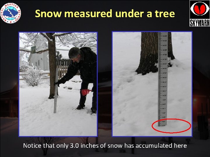Snow measured under a tree Notice that only 3. 0 inches of snow has Snow measured under a tree Notice that only 3. 0 inches of snow has