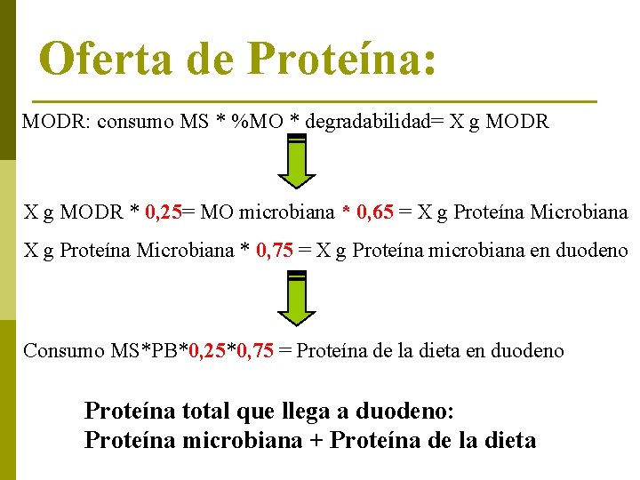 Oferta de Proteína: MODR: consumo MS * %MO * degradabilidad= X g MODR *