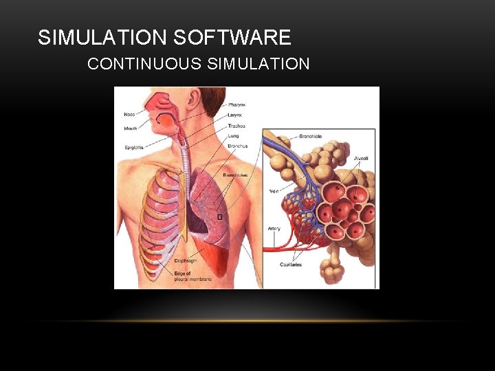 SIMULATION SOFTWARE CONTINUOUS SIMULATION 