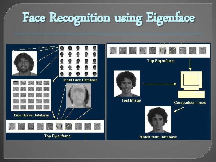 Face Recognition using Eigenface 