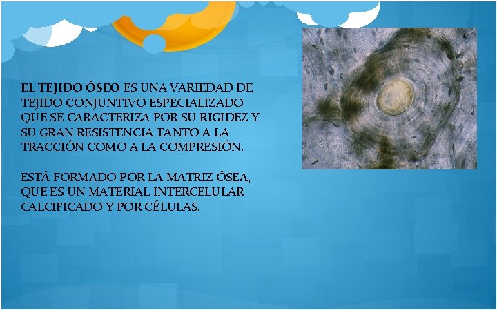 EL TEJIDO ÓSEO ES UNA VARIEDAD DE TEJIDO CONJUNTIVO ESPECIALIZADO QUE SE CARACTERIZA POR