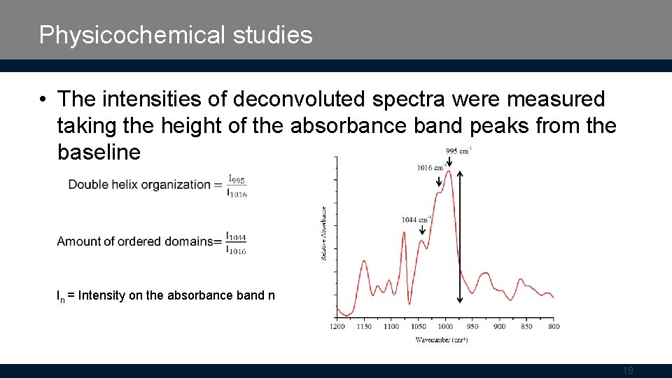 Physicochemical studies • The intensities of deconvoluted spectra were measured taking the height of