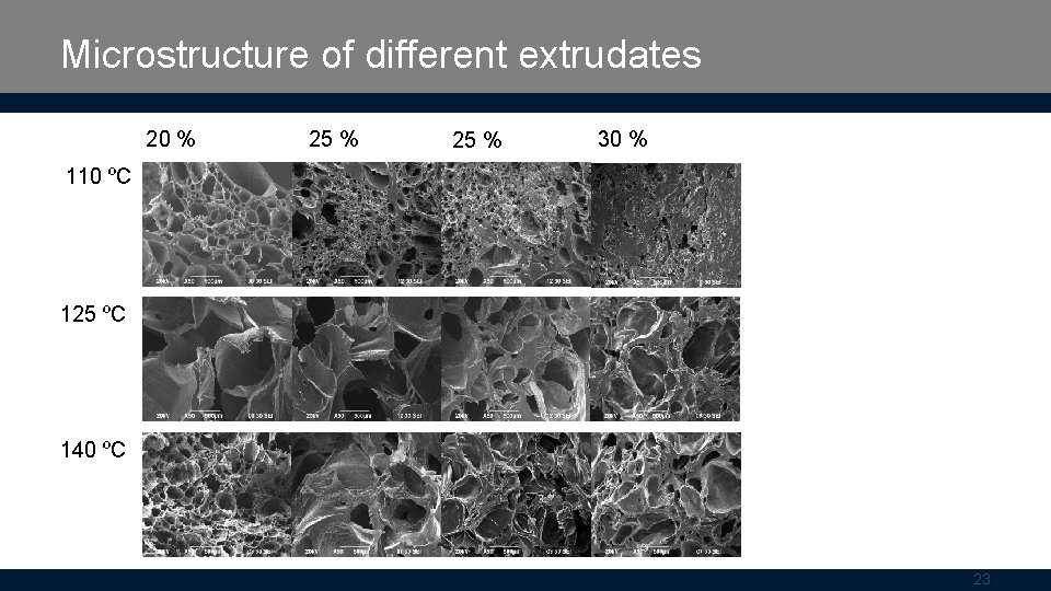 Microstructure of different extrudates 20 % 25 % 30 % 110 ºC 125 ºC