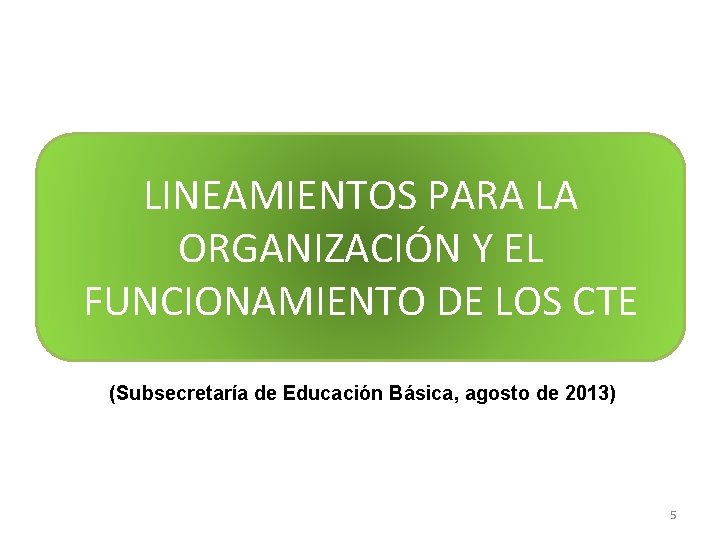 LINEAMIENTOS PARA LA ORGANIZACIÓN Y EL FUNCIONAMIENTO DE LOS CTE (Subsecretaría de Educación Básica,