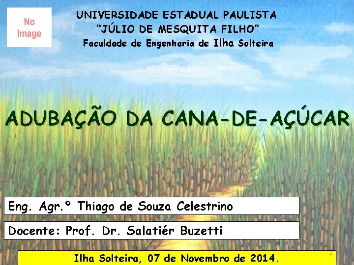 UNIVERSIDADE ESTADUAL PAULISTA “JÚLIO DE MESQUITA FILHO” Faculdade de Engenharia de Ilha Solteira ADUBAÇÃO