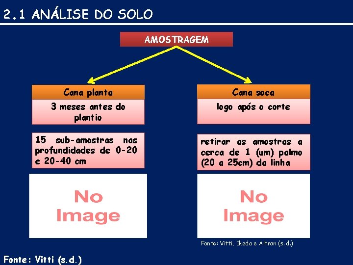 2. 1 ANÁLISE DO SOLO AMOSTRAGEM Cana planta Cana soca 3 meses antes do