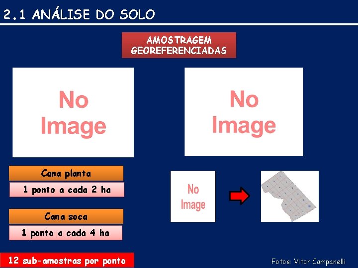 2. 1 ANÁLISE DO SOLO AMOSTRAGEM GEOREFERENCIADAS Cana planta 1 ponto a cada 2