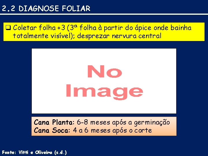 2. 2 DIAGNOSE FOLIAR q Coletar folha +3 (3ª folha à partir do ápice