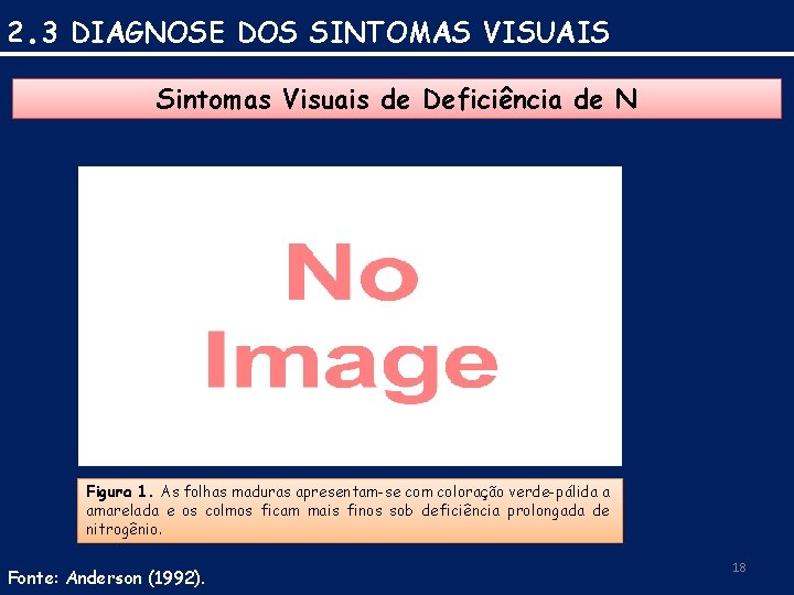 2. 3 DIAGNOSE DOS SINTOMAS VISUAIS Sintomas Visuais de Deficiência de N Figura 1.
