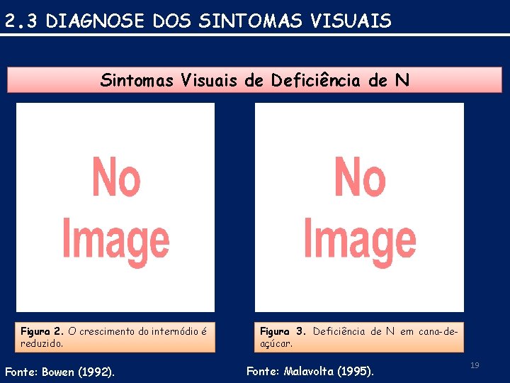 2. 3 DIAGNOSE DOS SINTOMAS VISUAIS Sintomas Visuais de Deficiência de N Figura 2.