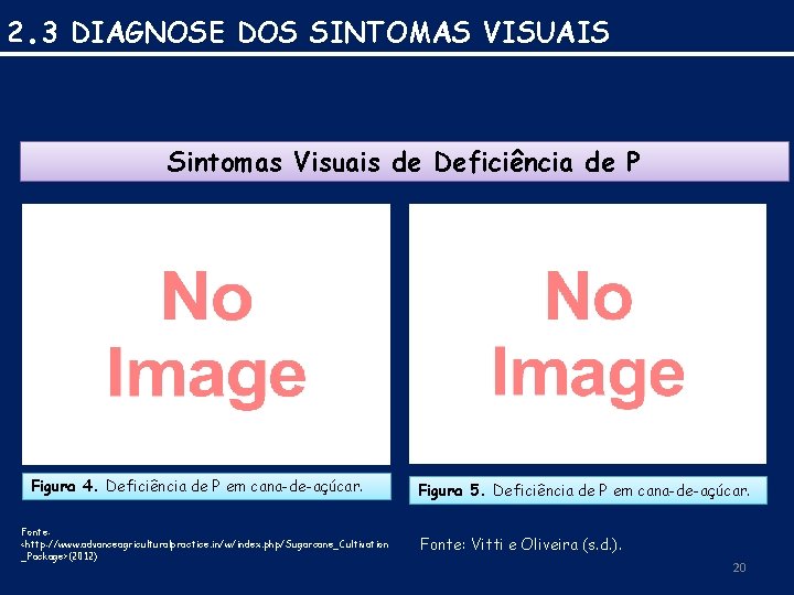 2. 3 DIAGNOSE DOS SINTOMAS VISUAIS Sintomas Visuais de Deficiência de P Figura 4.