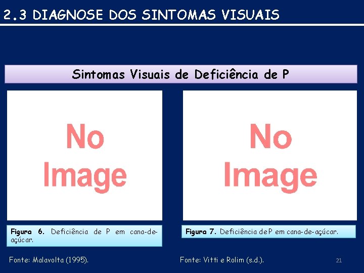 2. 3 DIAGNOSE DOS SINTOMAS VISUAIS Sintomas Visuais de Deficiência de P Figura 6.