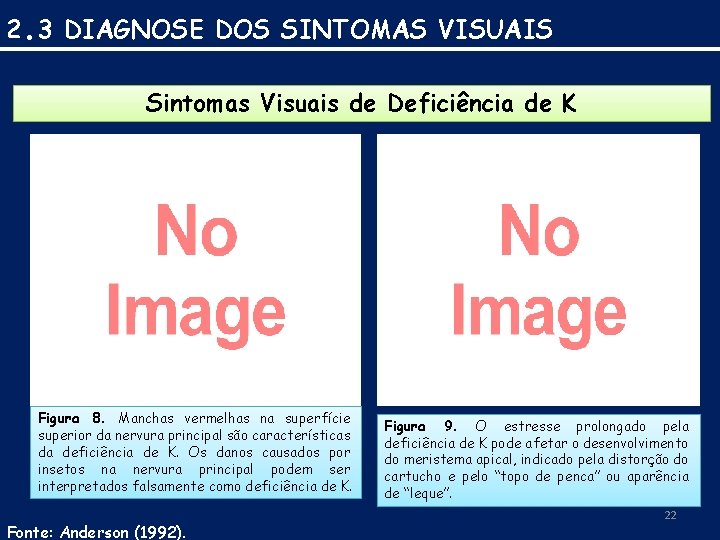 2. 3 DIAGNOSE DOS SINTOMAS VISUAIS Sintomas Visuais de Deficiência de K Figura 8.