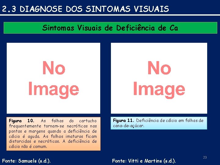 2. 3 DIAGNOSE DOS SINTOMAS VISUAIS Sintomas Visuais de Deficiência de Ca Figura 10.