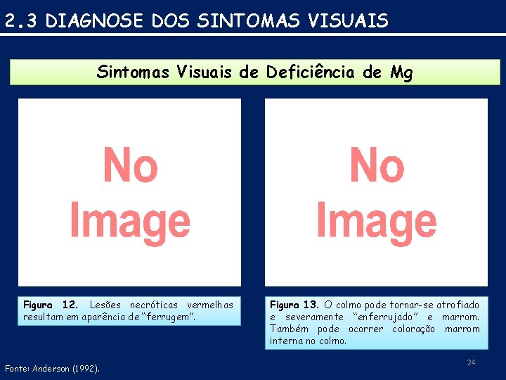 2. 3 DIAGNOSE DOS SINTOMAS VISUAIS Sintomas Visuais de Deficiência de Mg Figura 12.