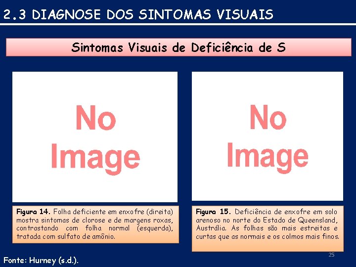 2. 3 DIAGNOSE DOS SINTOMAS VISUAIS Sintomas Visuais de Deficiência de S Figura 14.