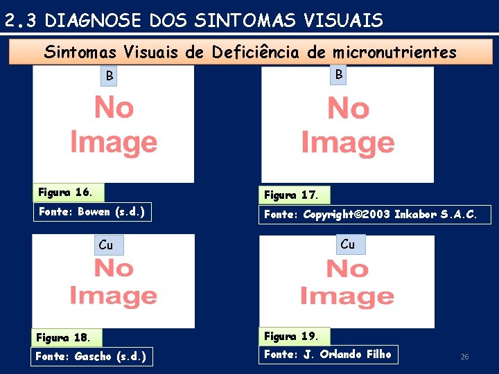 2. 3 DIAGNOSE DOS SINTOMAS VISUAIS Sintomas Visuais de Deficiência de micronutrientes B B