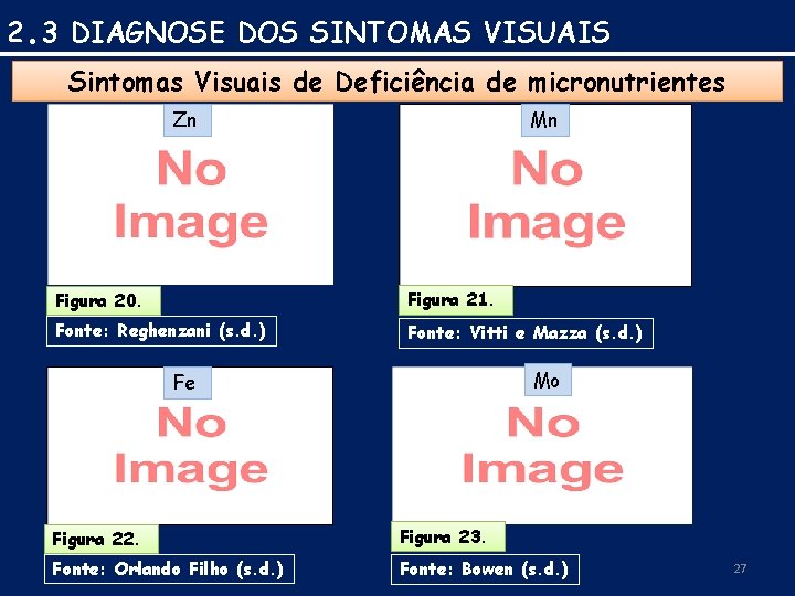 2. 3 DIAGNOSE DOS SINTOMAS VISUAIS Sintomas Visuais de Deficiência de micronutrientes Zn Mn