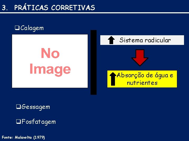 3. PRÁTICAS CORRETIVAS q. Calagem Sistema radicular Absorção de água e nutrientes q. Gessagem