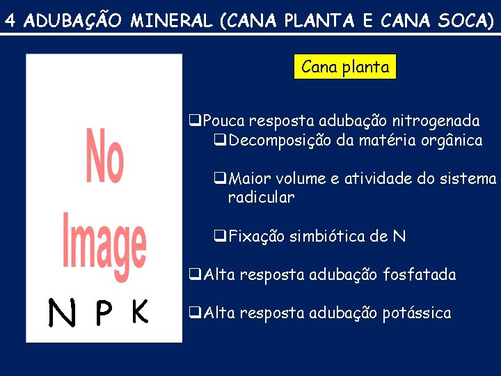 4 ADUBAÇÃO MINERAL (CANA PLANTA E CANA SOCA) Cana planta q Pouca resposta adubação