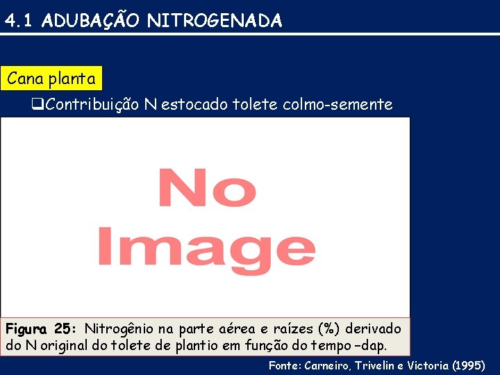 4. 1 ADUBAÇÃO NITROGENADA Cana planta q Contribuição N estocado tolete colmo-semente Figura 25: