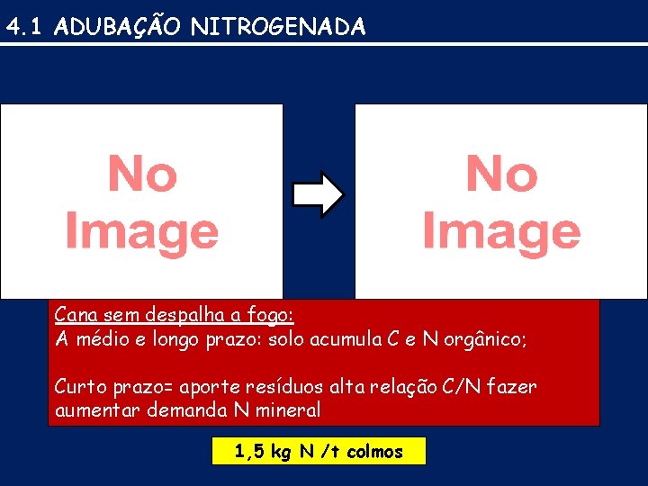 4. 1 ADUBAÇÃO NITROGENADA Cana sem despalha a fogo: A médio e longo prazo: