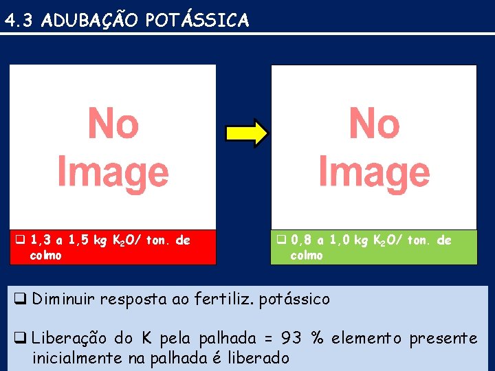 4. 3 ADUBAÇÃO POTÁSSICA q 1, 3 a 1, 5 kg K 2 O/