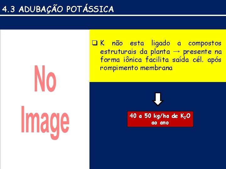 4. 3 ADUBAÇÃO POTÁSSICA q K não esta ligado a compostos estruturais da planta