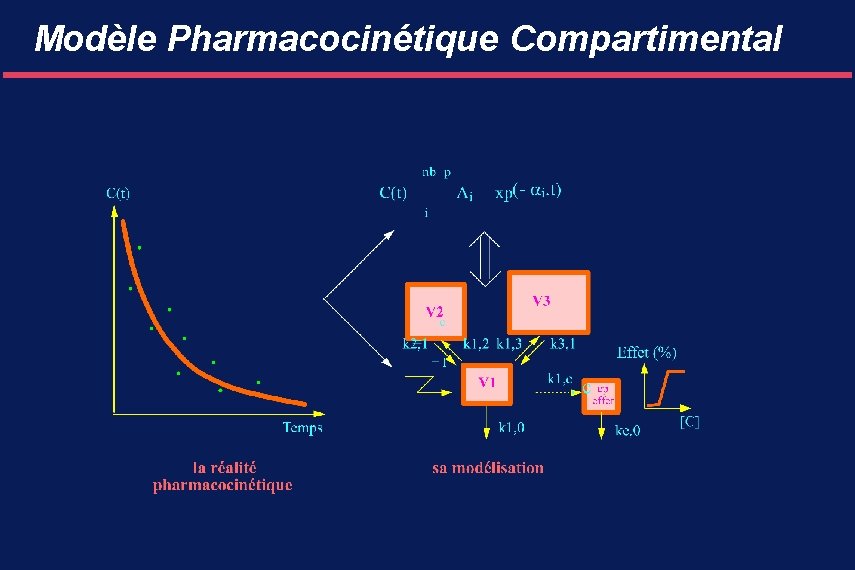 Modèle Pharmacocinétique Compartimental 