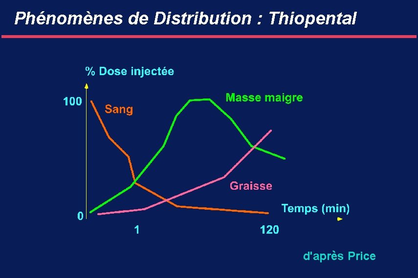 Phénomènes de Distribution : Thiopental d'après Price 