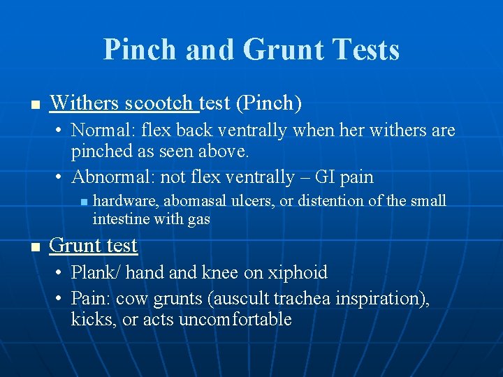Pinch and Grunt Tests n Withers scootch test (Pinch) • Normal: flex back ventrally