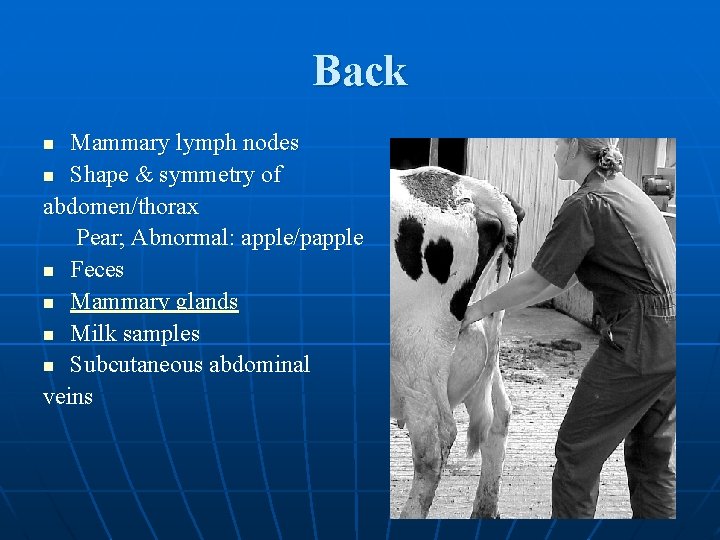 Back Mammary lymph nodes n Shape & symmetry of abdomen/thorax Pear; Abnormal: apple/papple n