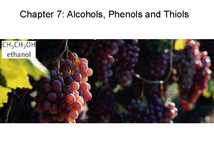 Chapter 7: Alcohols, Phenols and Thiols 